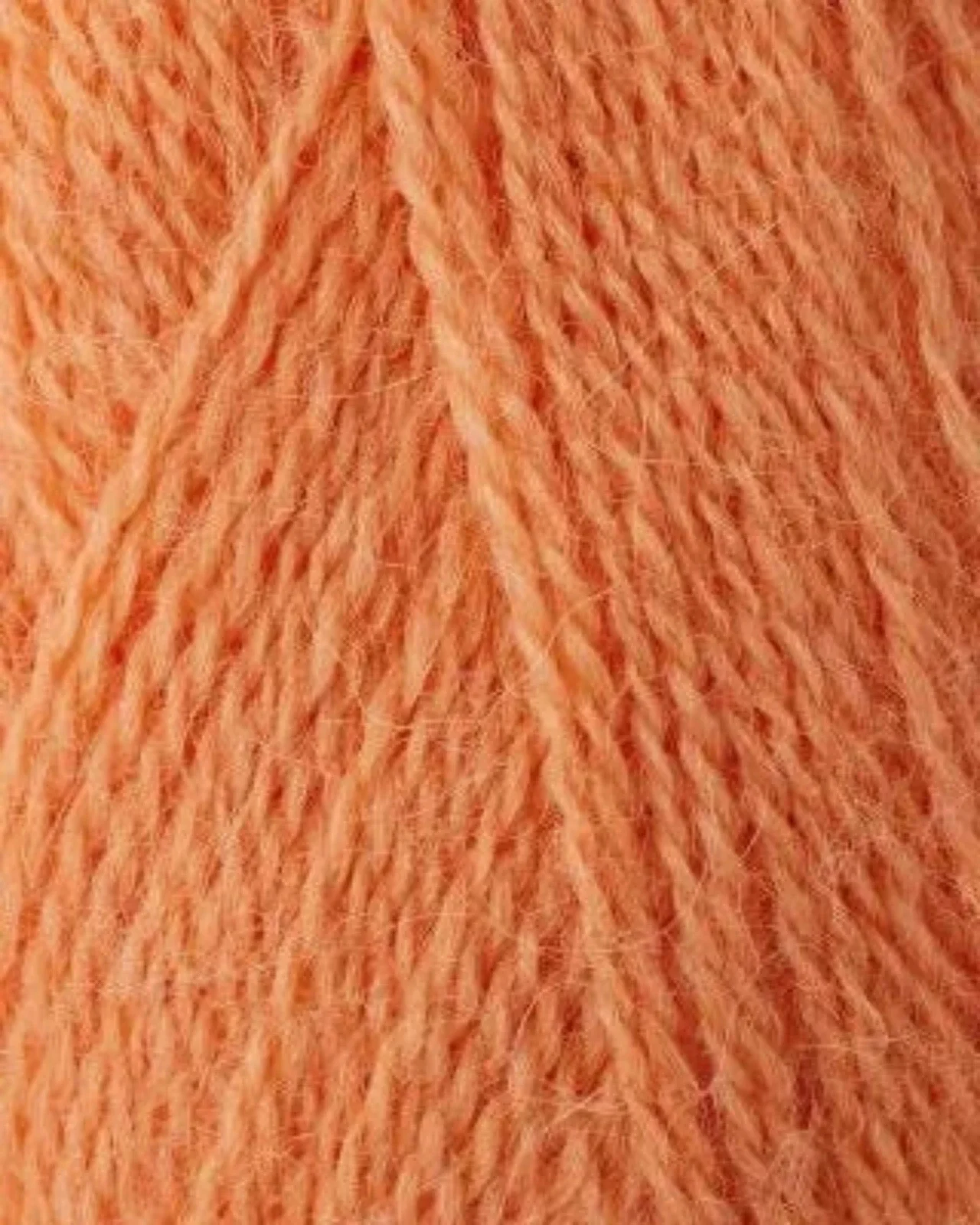 Vorschaubild 25