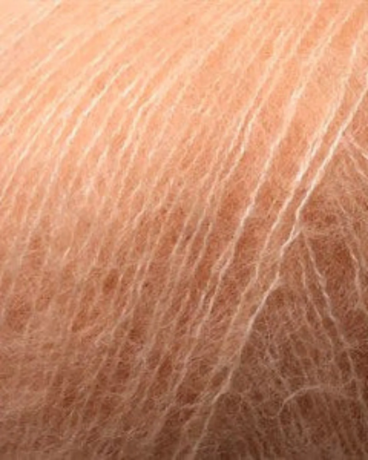 Vorschaubild 11