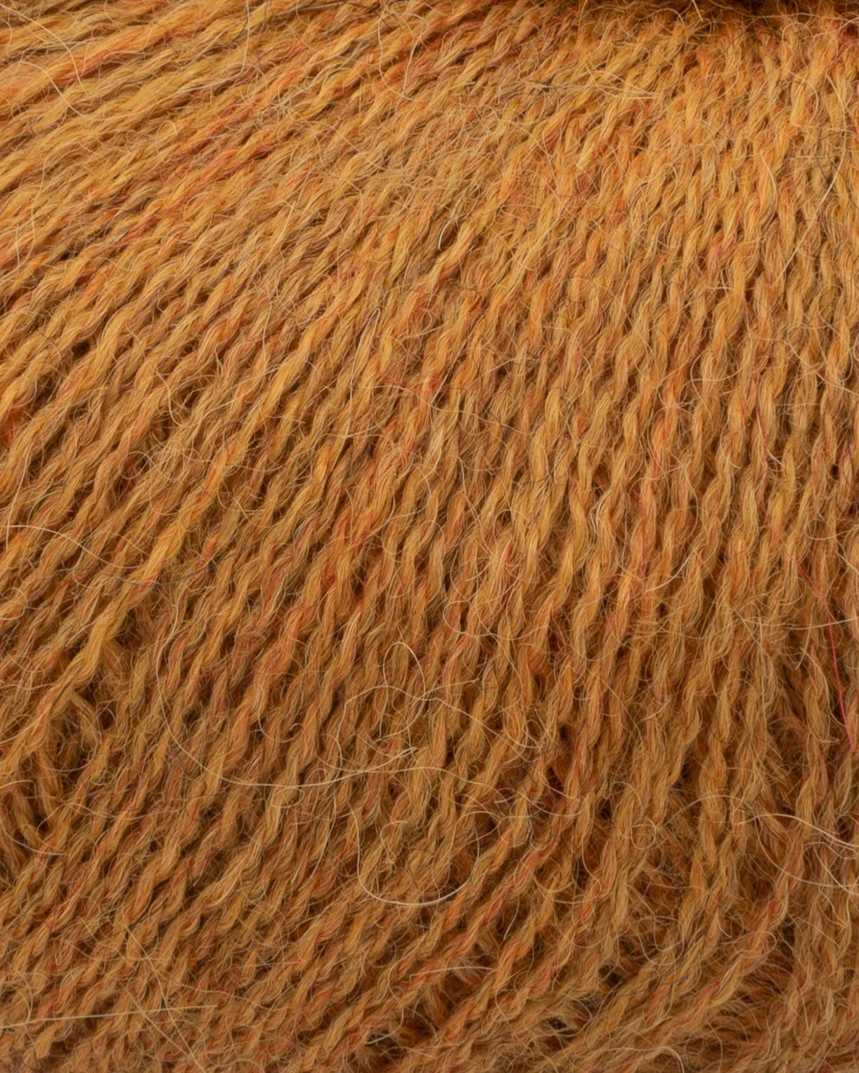 Vorschaubild 47