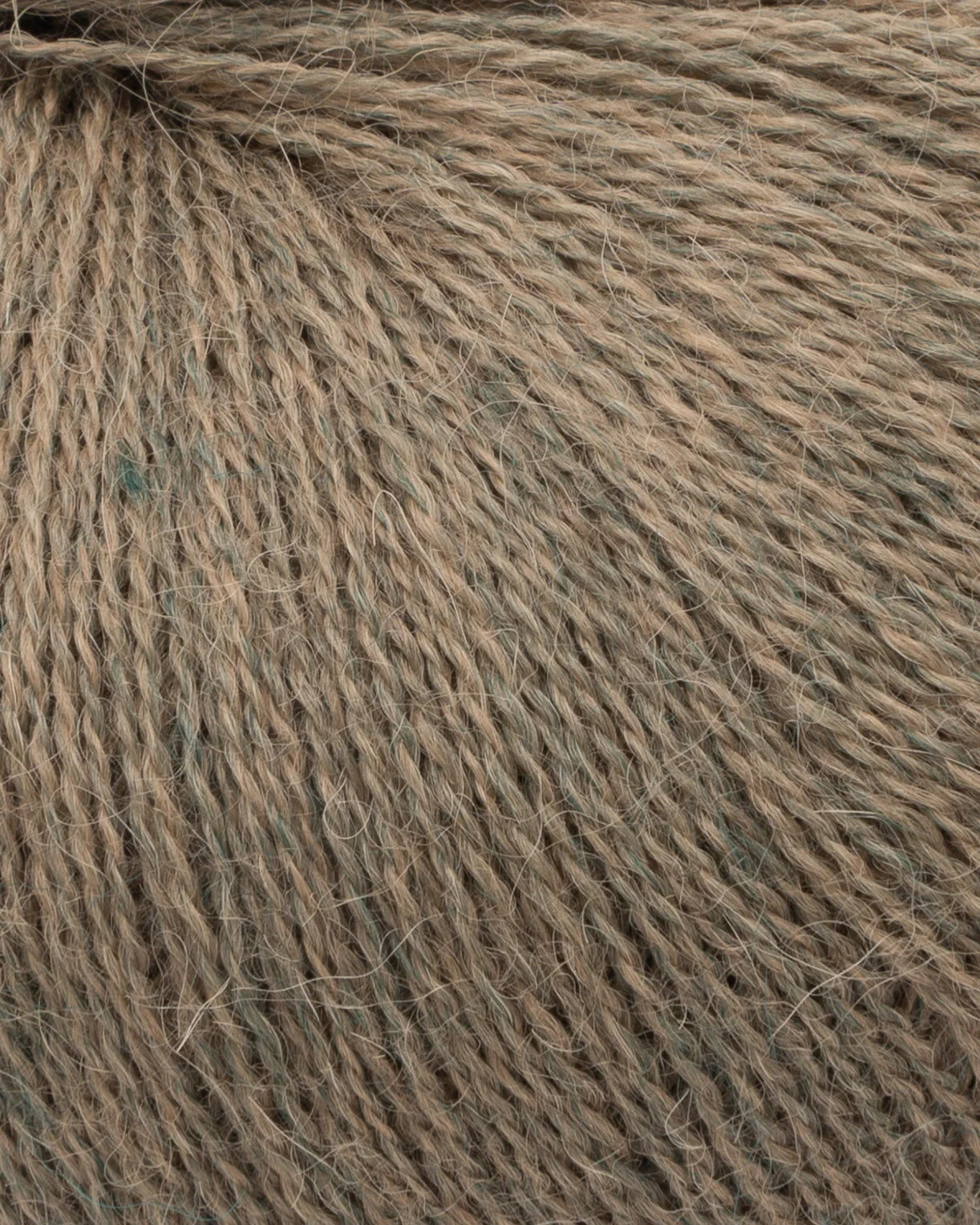 Vorschaubild 50
